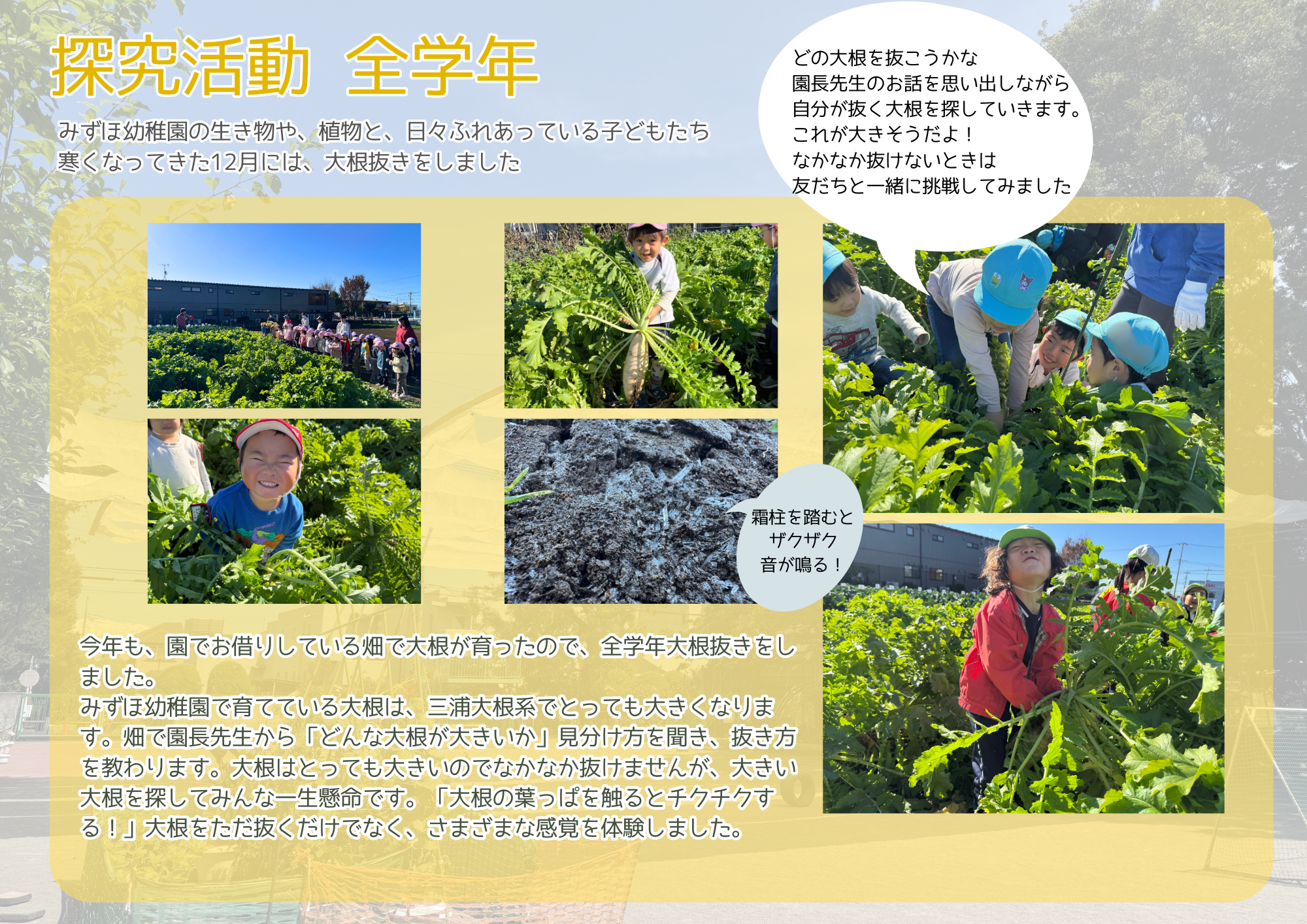 12月　全学年　探究活動